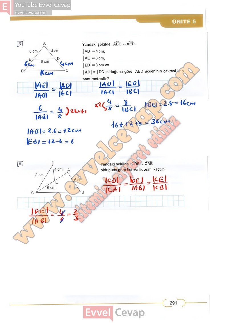 8-sinif-matematik-ders-kitabi-cevabi-meb-sayfa-291-2