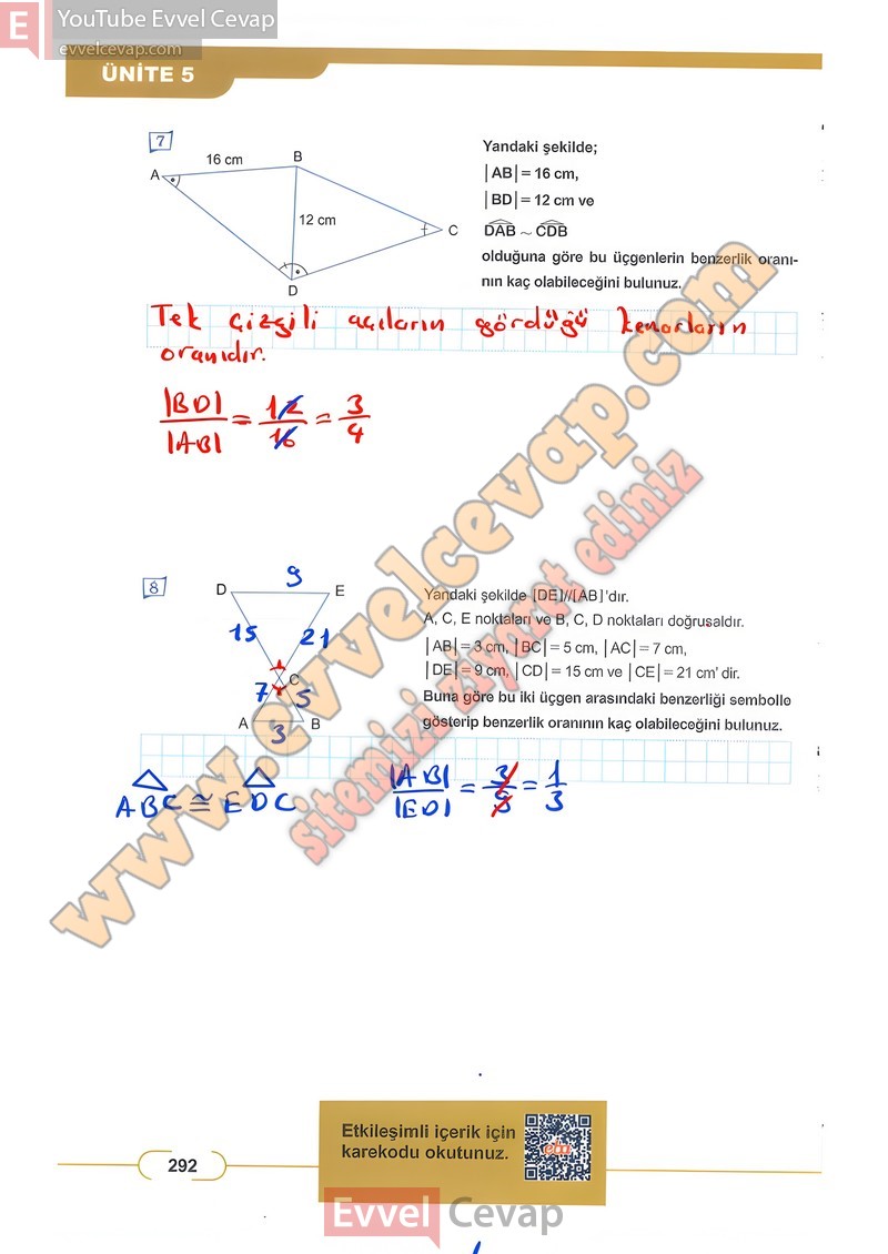 8-sinif-matematik-ders-kitabi-cevabi-meb-sayfa-292