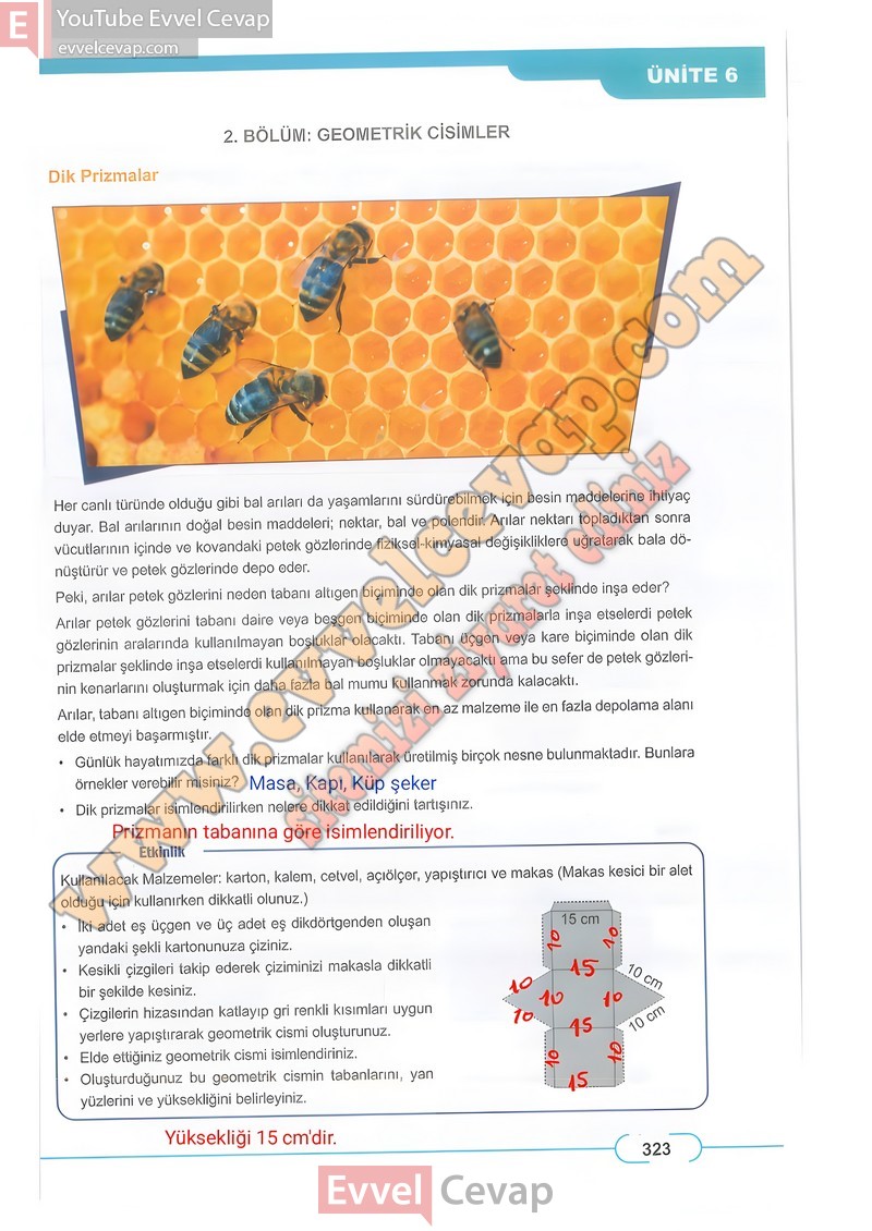 8-sinif-matematik-ders-kitabi-cevabi-meb-sayfa-323