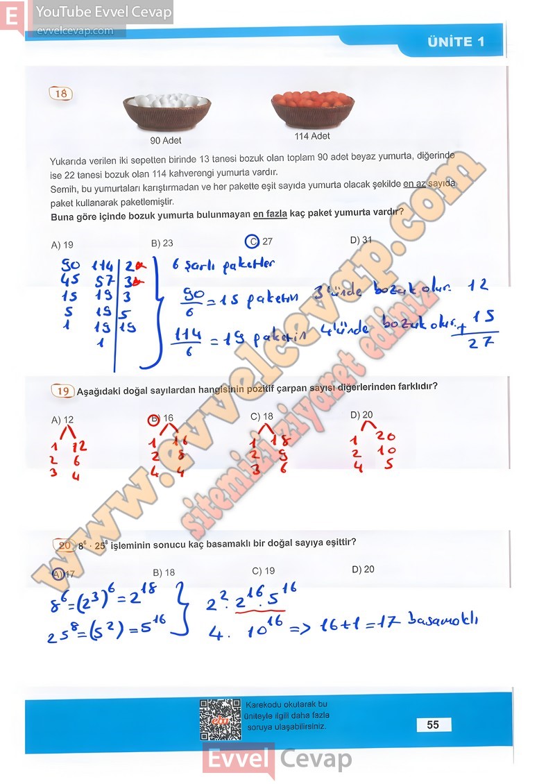 8-sinif-matematik-ders-kitabi-cevabi-meb-sayfa-55-2