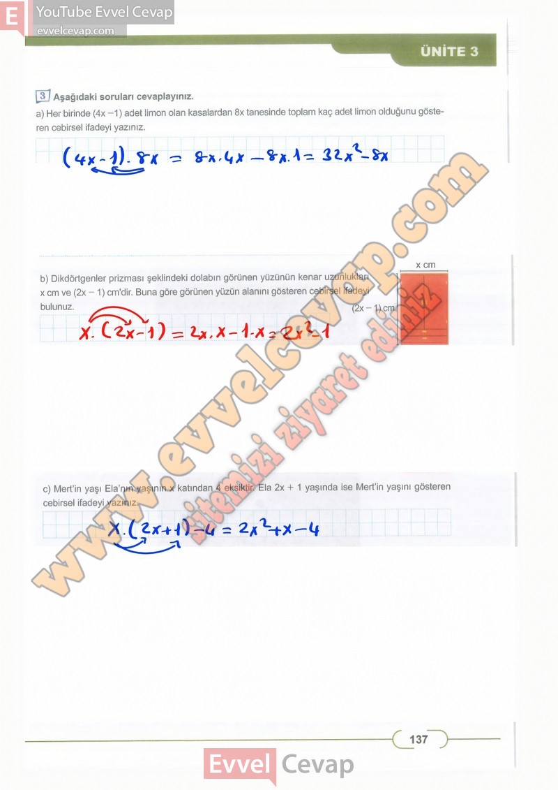 8-sinif-matematik-ders-kitabi-cevaplari-meb-sayfa-137
