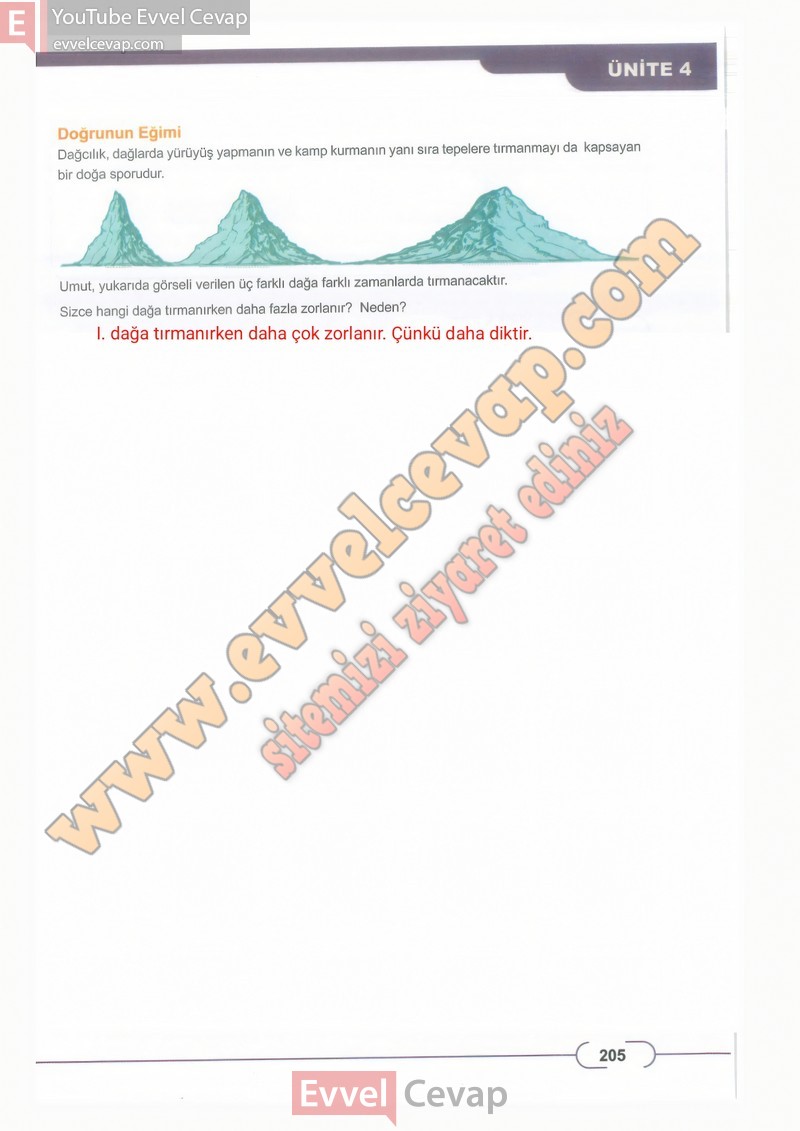 8-sinif-matematik-ders-kitabi-cevaplari-meb-sayfa-205