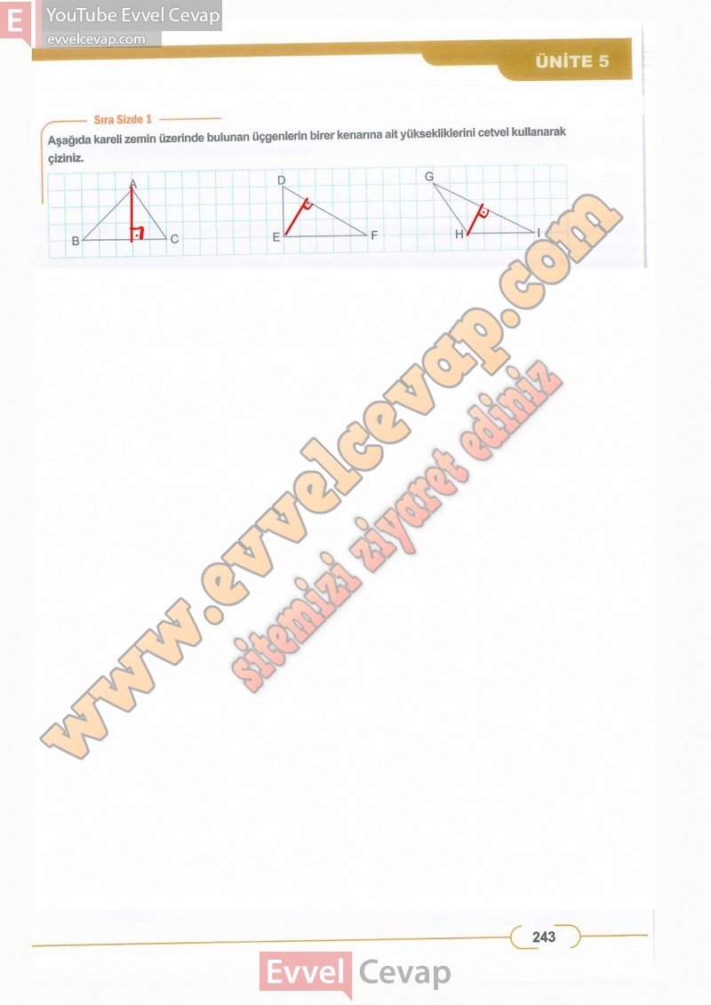 8-sinif-matematik-ders-kitabi-cevaplari-meb-sayfa-243