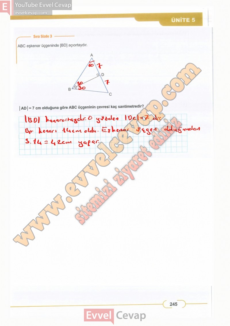 8-sinif-matematik-ders-kitabi-cevaplari-meb-sayfa-245