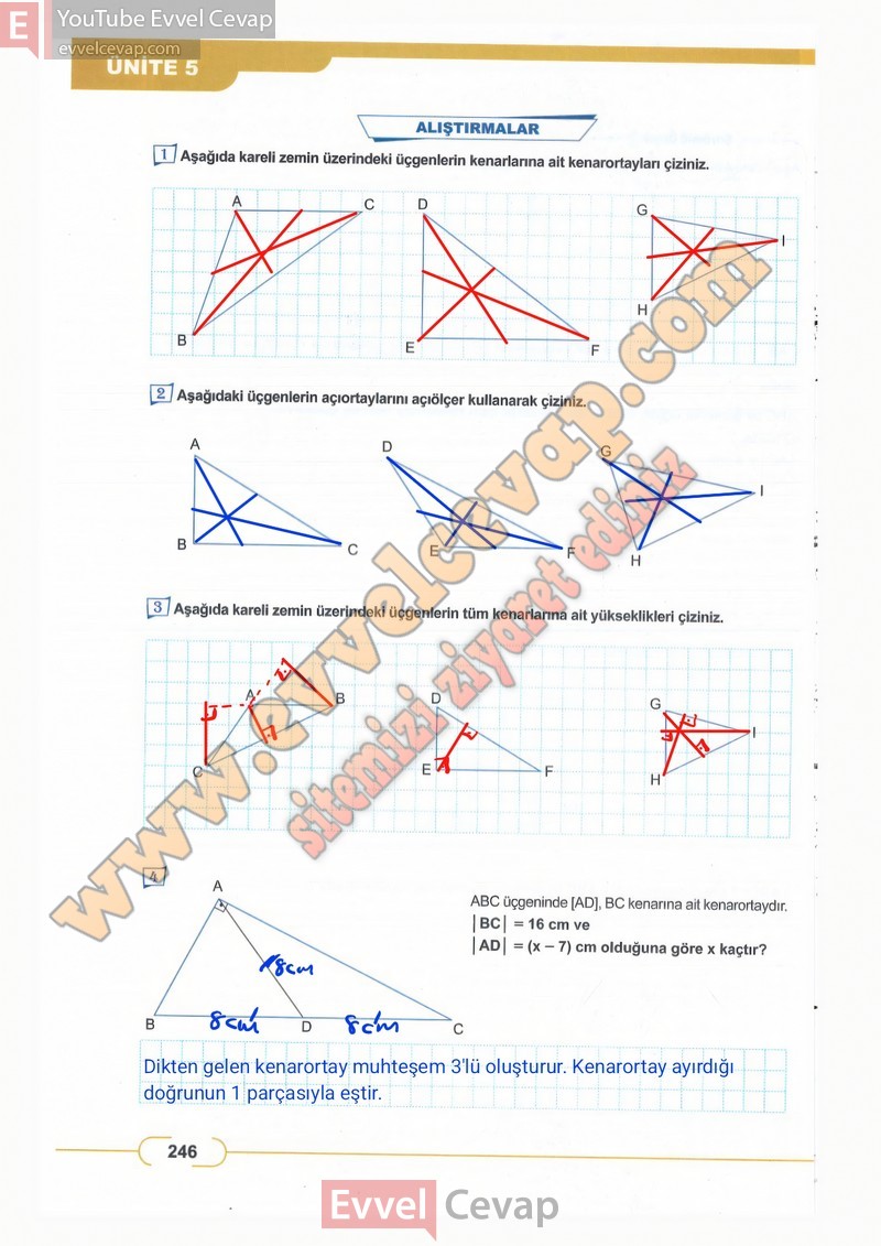 8-sinif-matematik-ders-kitabi-cevaplari-meb-sayfa-246