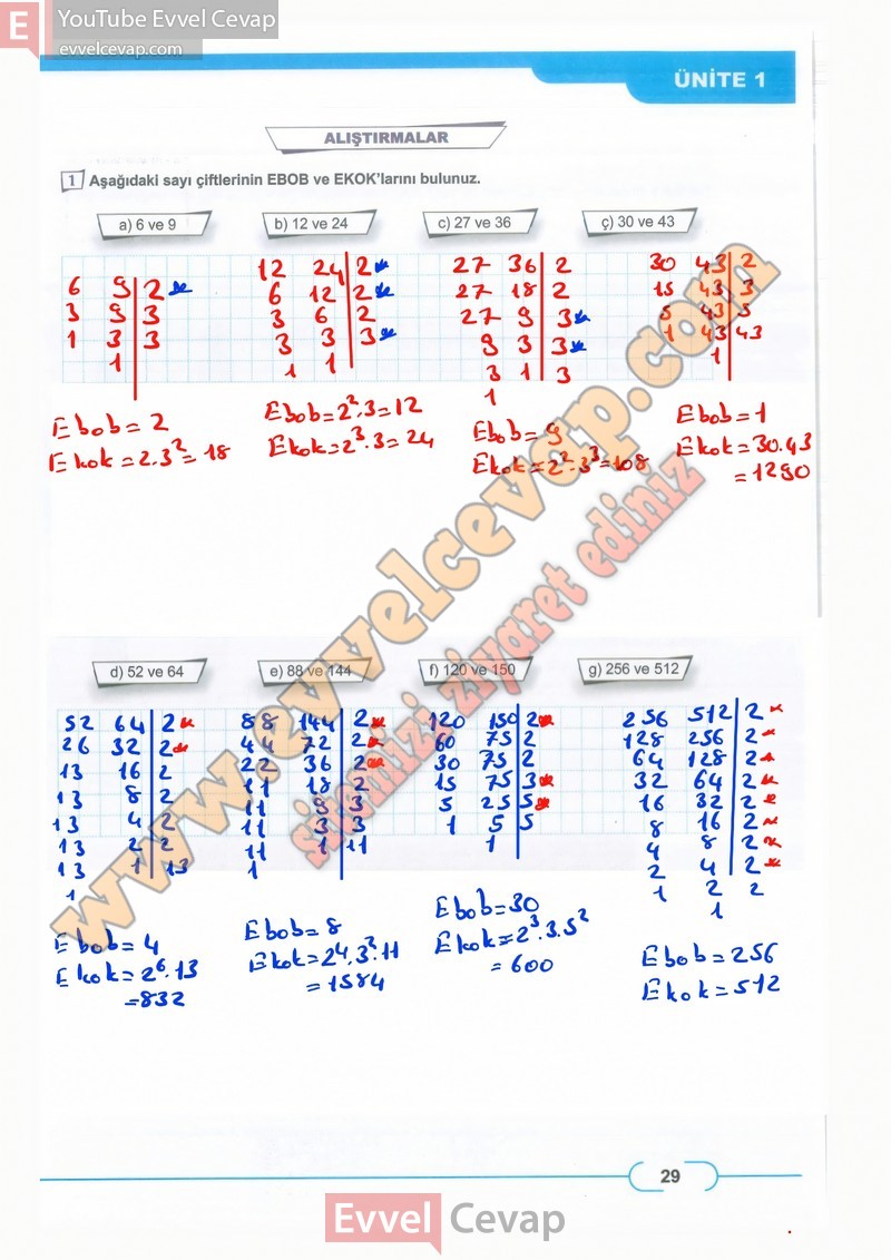 8-sinif-matematik-ders-kitabi-cevaplari-meb-sayfa-29