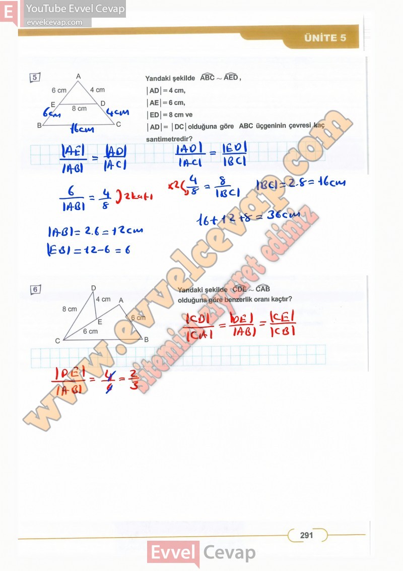 8-sinif-matematik-ders-kitabi-cevaplari-meb-sayfa-291-2