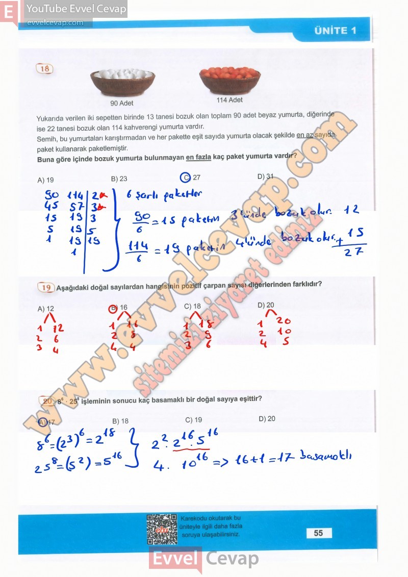 8-sinif-matematik-ders-kitabi-cevaplari-meb-sayfa-55-2