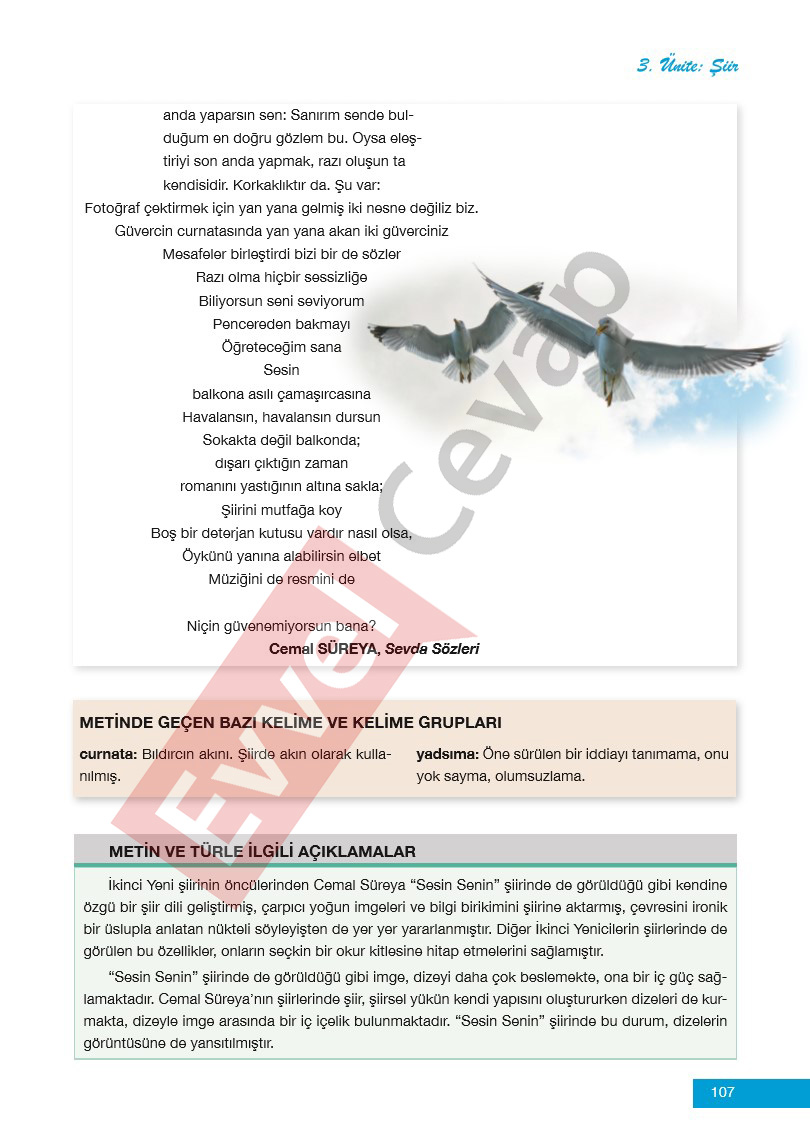 12-sinif-edebiyat-ders-kitabi-cevaplari-melis-yayinlari-sayfa-107