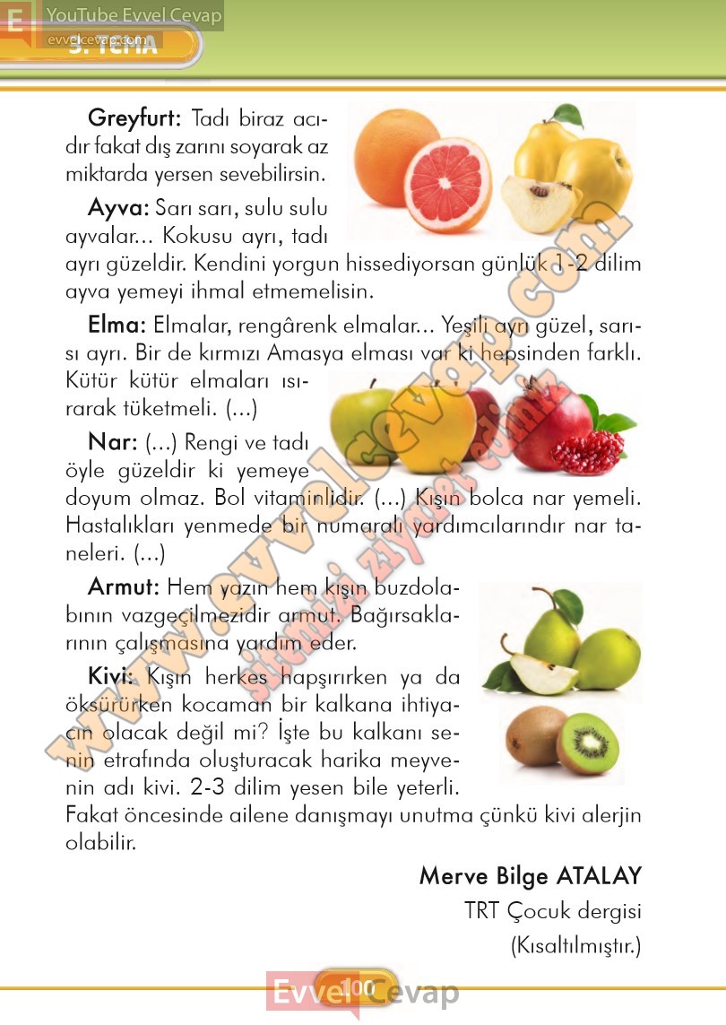 2-sinif-turkce-ders-kitabi-cevaplari-ilke-yayinlari-sayfa-100