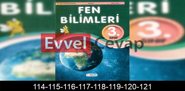 3. Sınıf Fen Bilimleri Ders Kitabı Cevapları SDR Dikey Yayıncılık Sayfa 114-115-116-117-118-119-120-121