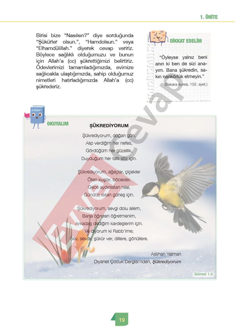 4-sinif-din-kulturu-ders-kitabi-cevaplari-meb-sayfa-19
