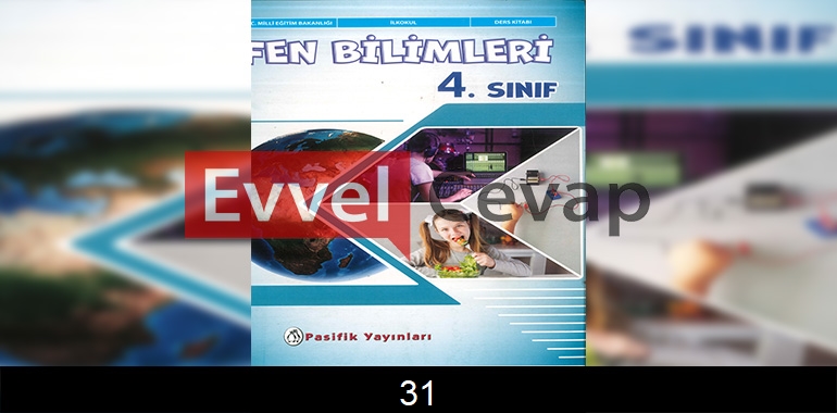 4. Sınıf Pasifik Yayınları Fen Bilimleri Ders Kitabı Cevapları Sayfa 31