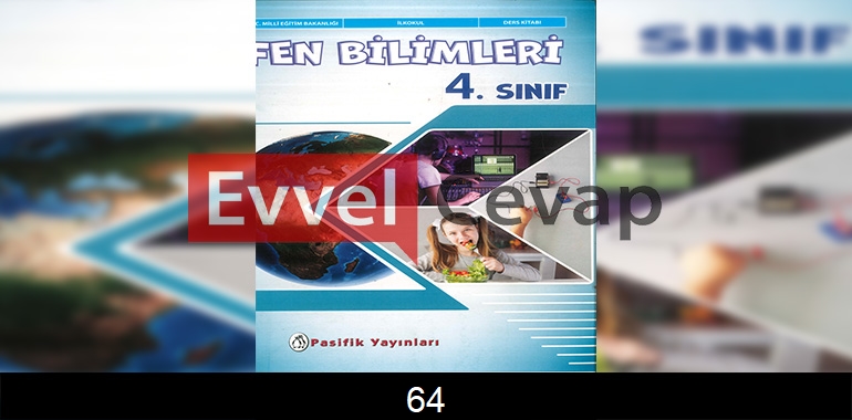 4. Sınıf Pasifik Yayınları Fen Bilimleri Ders Kitabı Cevapları Sayfa 64