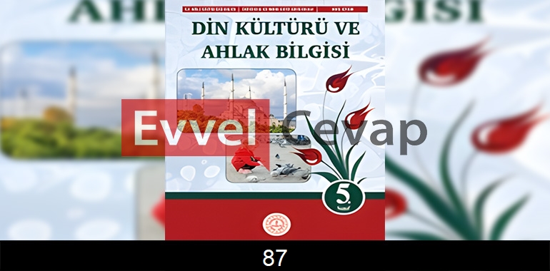 5. Sınıf Din Kültürü Kitabı Cevapları Sayfa 87