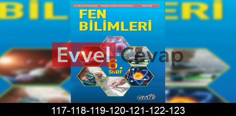 6. Sınıf Fen Bilimleri Ders Kitabı Cevapları Gün Yayıncılık Sayfa 117-118-119-120-121-122-123