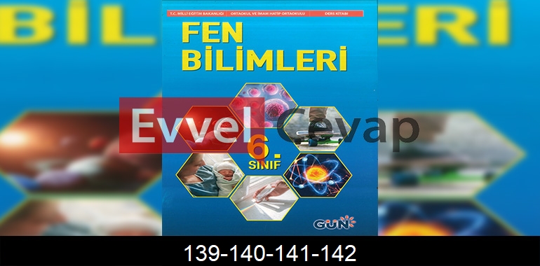 6. Sınıf Fen Bilimleri Ders Kitabı Cevapları Gün Yayıncılık Sayfa 139-140-141-142