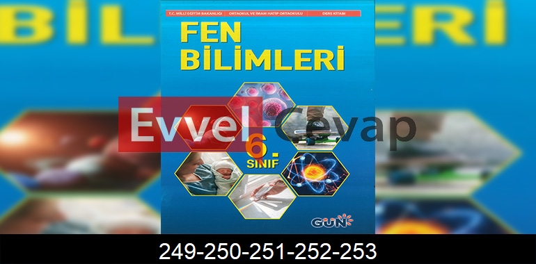 6. Sınıf Fen Bilimleri Ders Kitabı Cevapları Gün Yayıncılık Sayfa 249-250-251-252-253