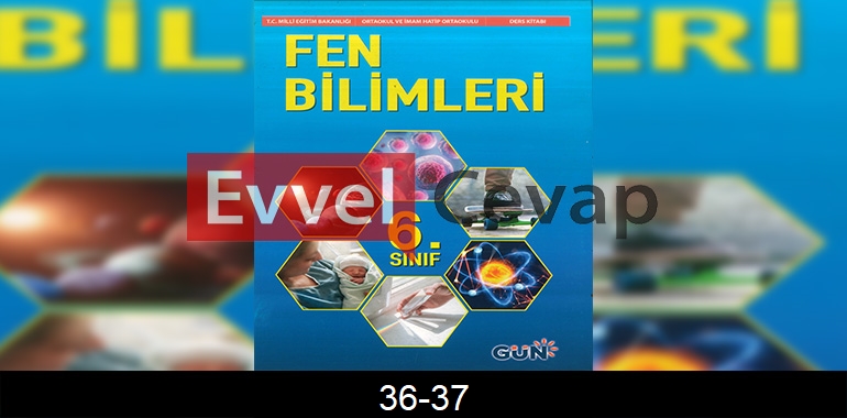 6. Sınıf Fen Bilimleri Ders Kitabı Cevapları Gün Yayıncılık Sayfa 36-37