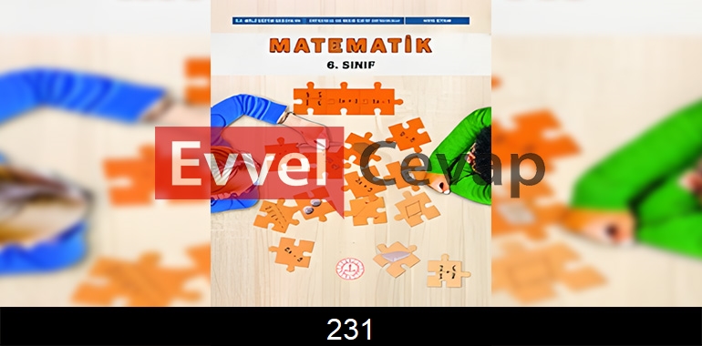 6. Sınıf Matematik Ders Kitabı Cevapları Sayfa 231