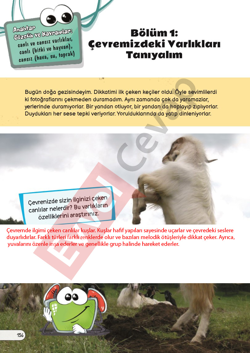 3-sinif-fen-bilimleri-ders-kitabi-cevaplari-sayfa-156