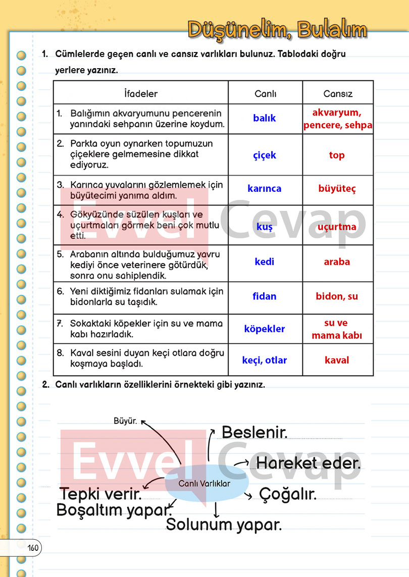 3-sinif-fen-bilimleri-ders-kitabi-cevaplari-sayfa-160