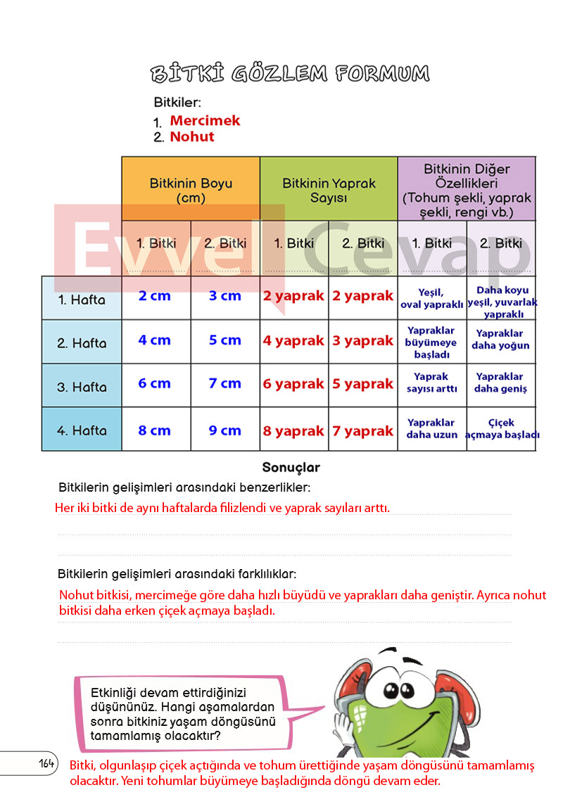 3-sinif-fen-bilimleri-ders-kitabi-cevaplari-sayfa-164