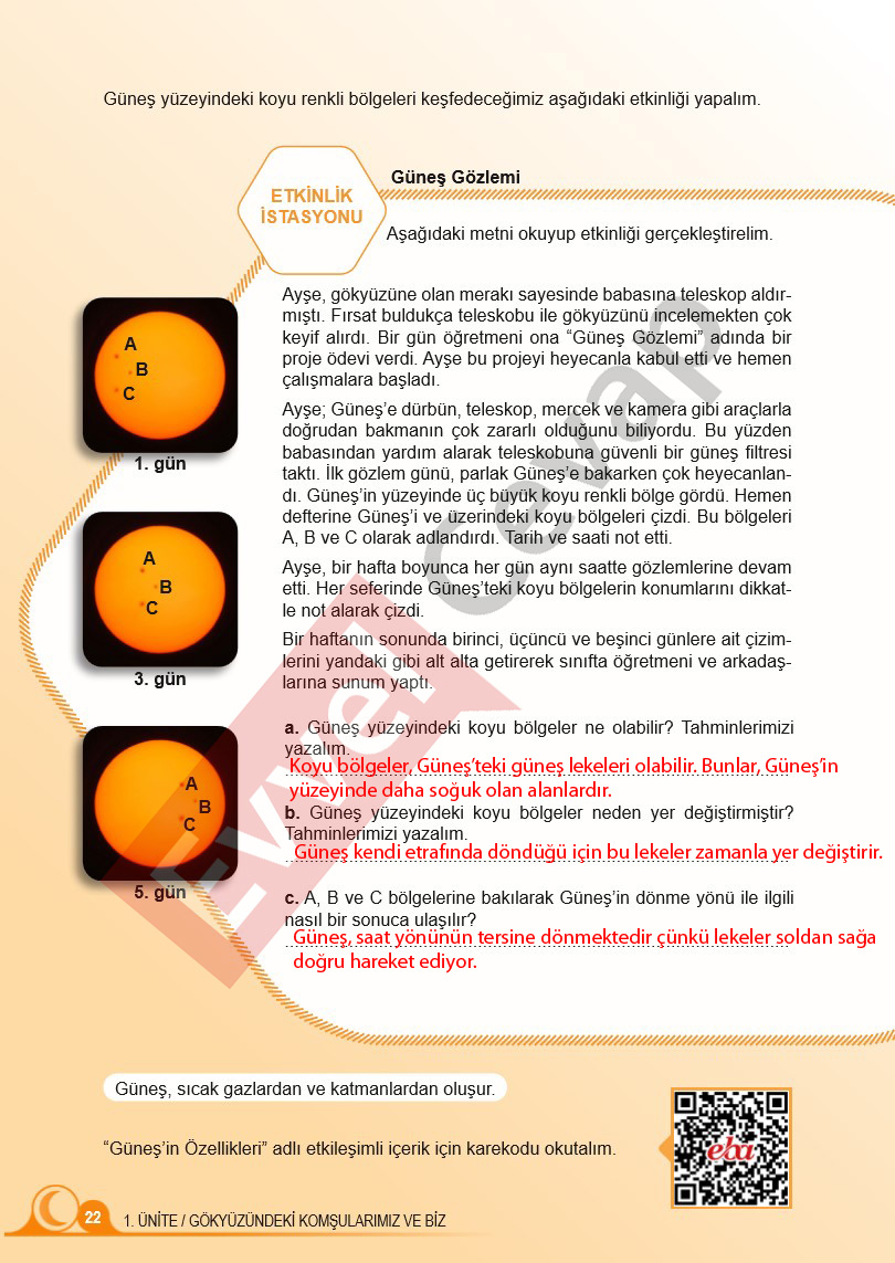 5-sinif-fen-bilimleri-ders-kitabi-cevaplari-sayfa-22