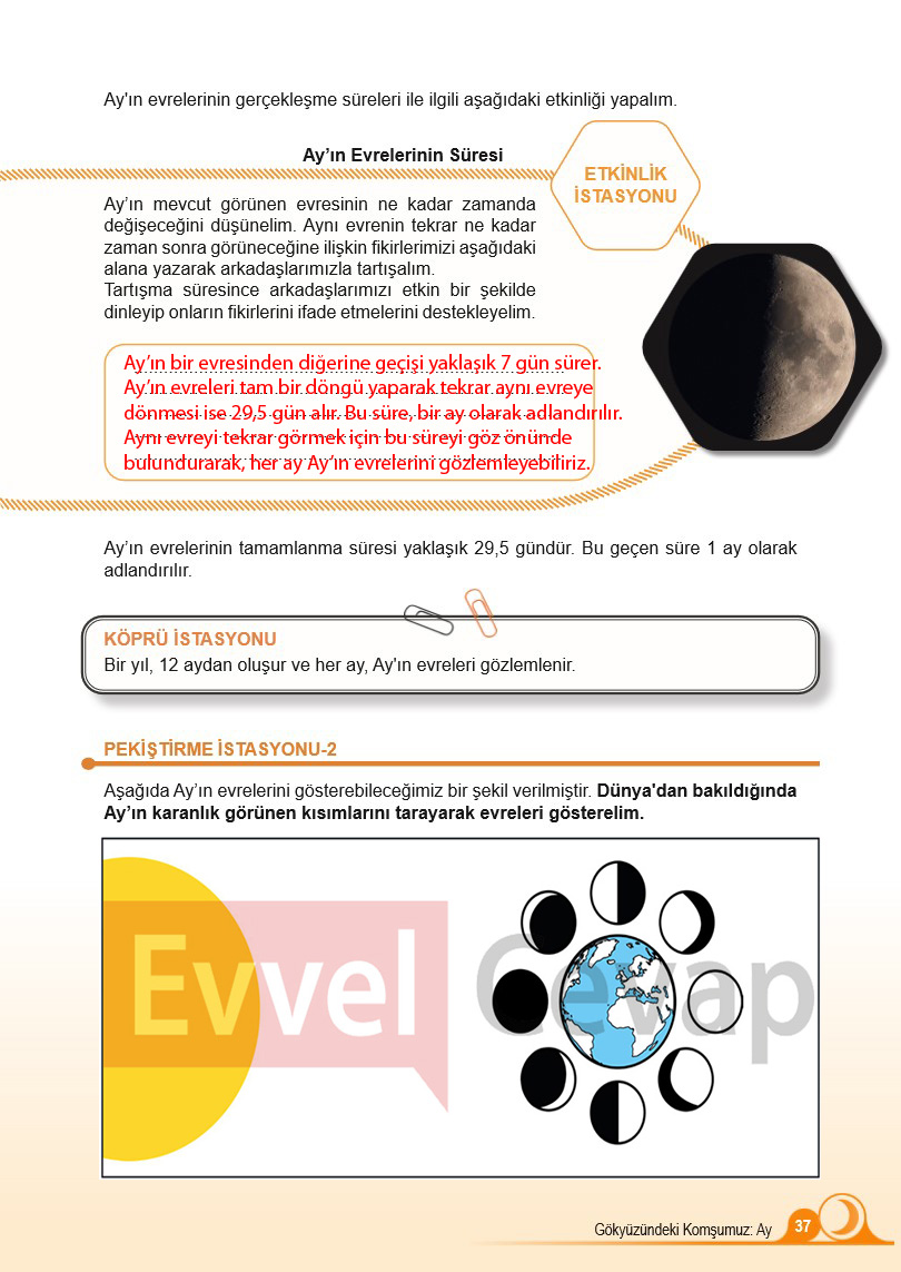 5-sinif-fen-bilimleri-ders-kitabi-cevaplari-sayfa-37