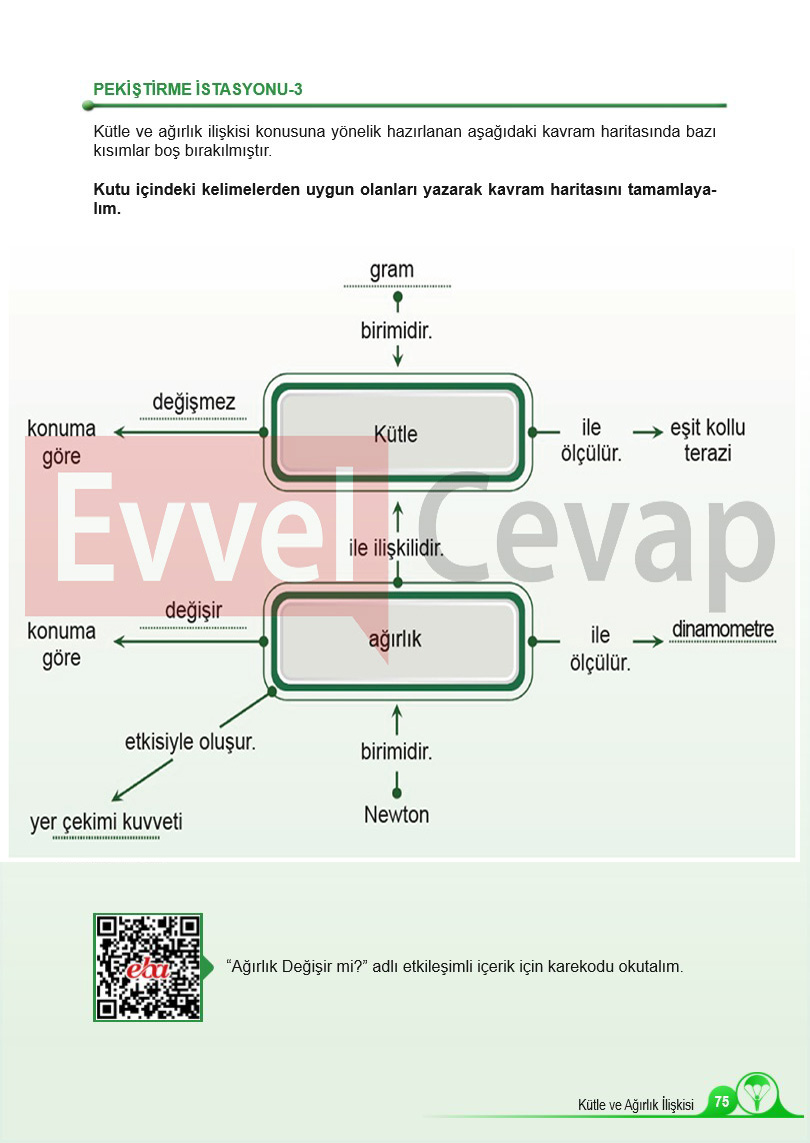 5-sinif-fen-bilimleri-ders-kitabi-cevaplari-sayfa-75