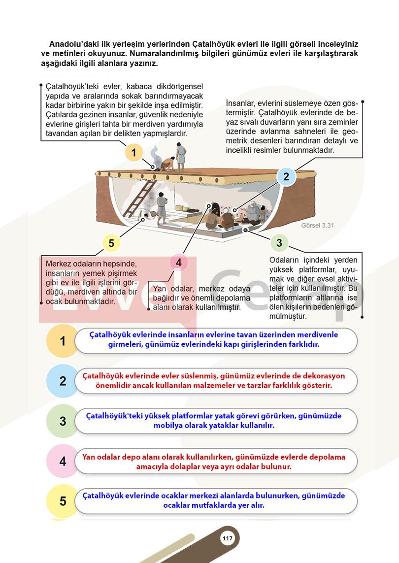 5-sinif-sosyal-bilgiler-ders-kitabi-cevaplari-meb-1-kitap-sayfa-117
