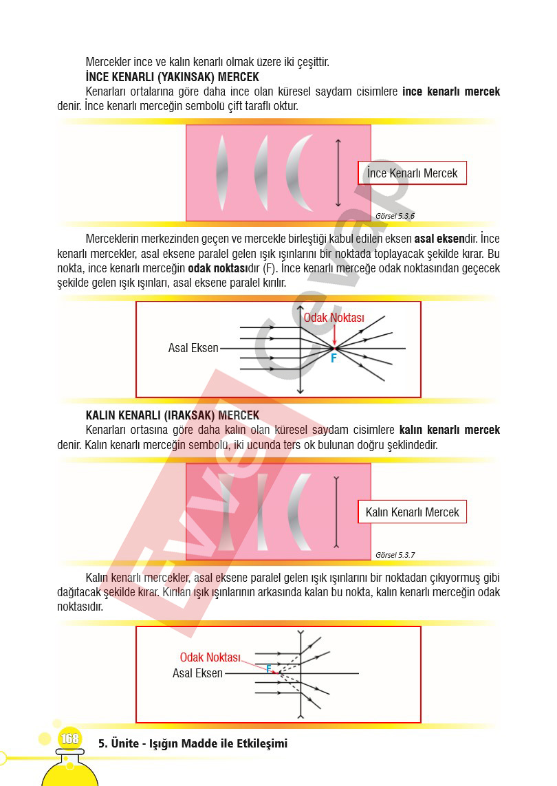 7-sinif-fen-bilimleri-ders-kitabi-cevaplari-sayfa-168