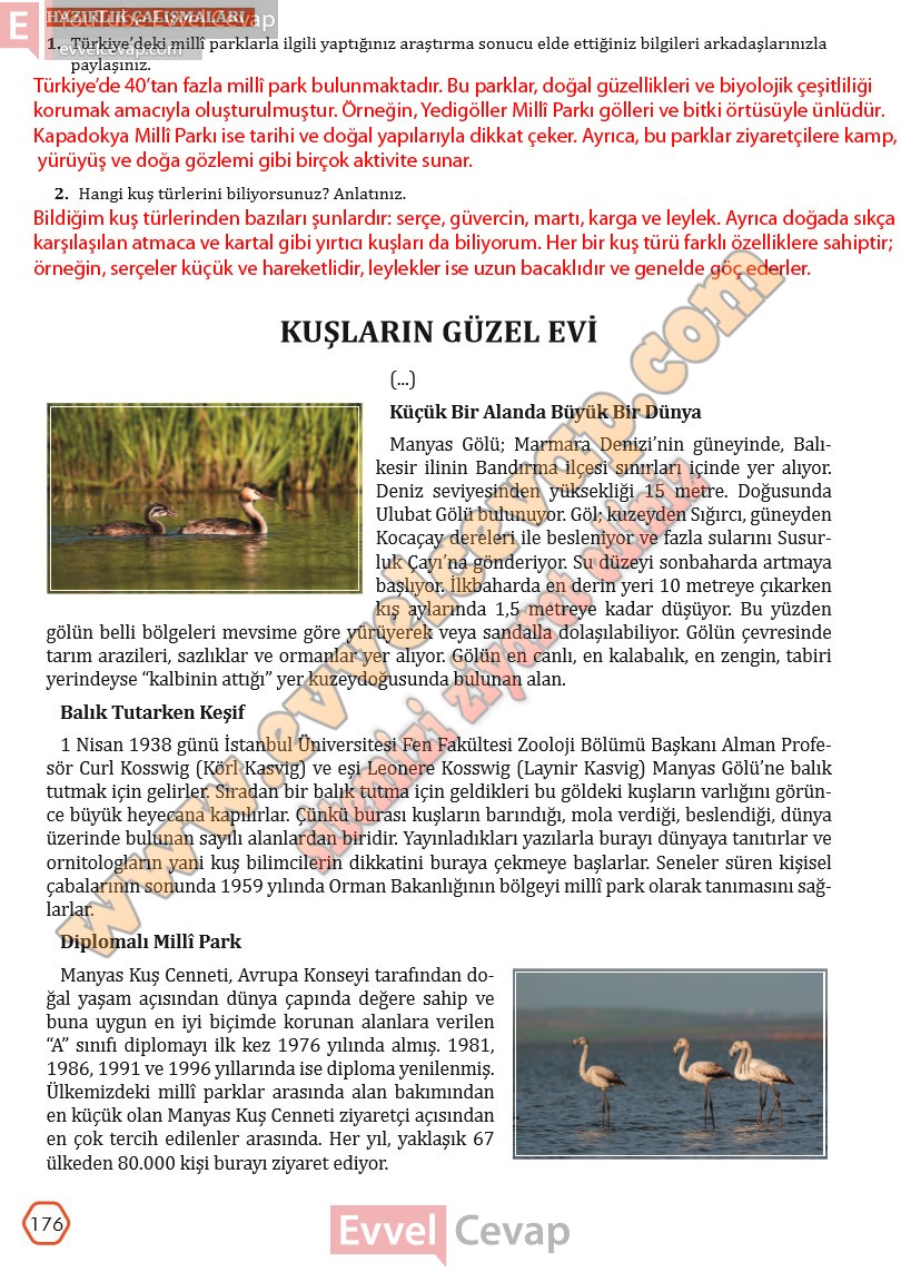 7-sinif-turkce-ders-kitabi-cevaplari-meb-yayinlari-sayfa-176