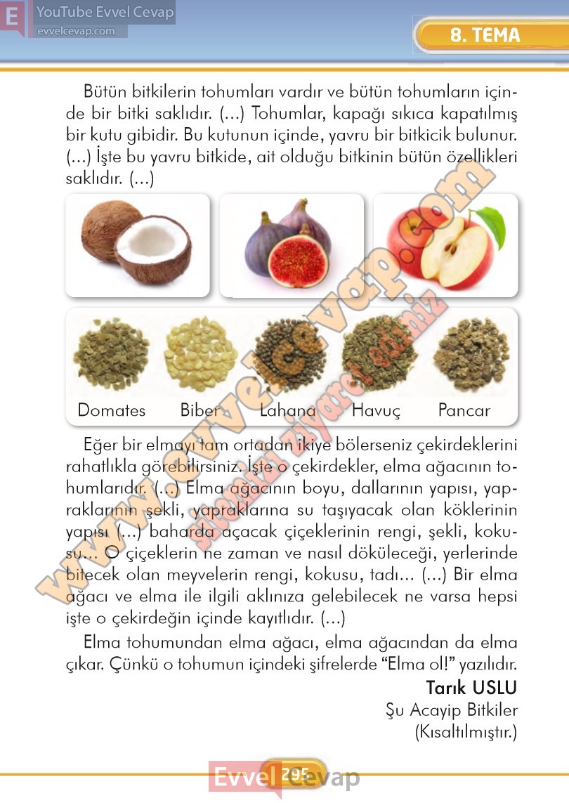 2-sinif-turkce-ders-kitabi-cevaplari-ilke-yayinlari-sayfa-295