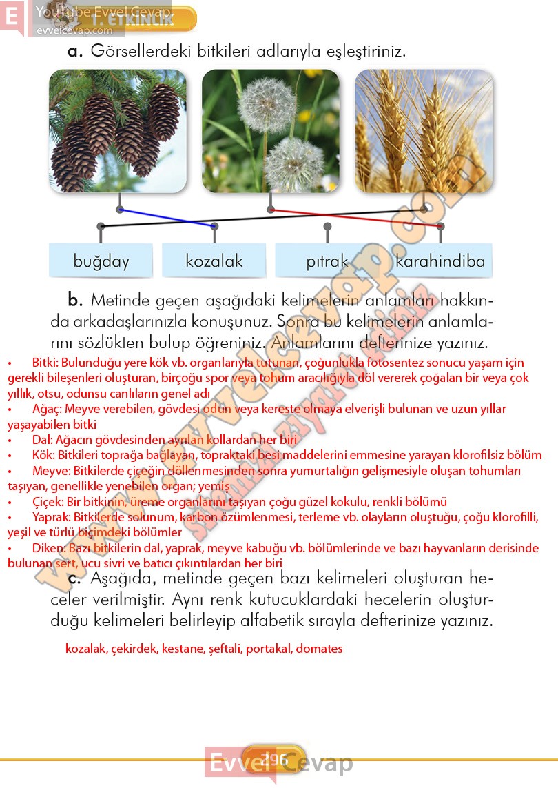 2-sinif-turkce-ders-kitabi-cevaplari-ilke-yayinlari-sayfa-296