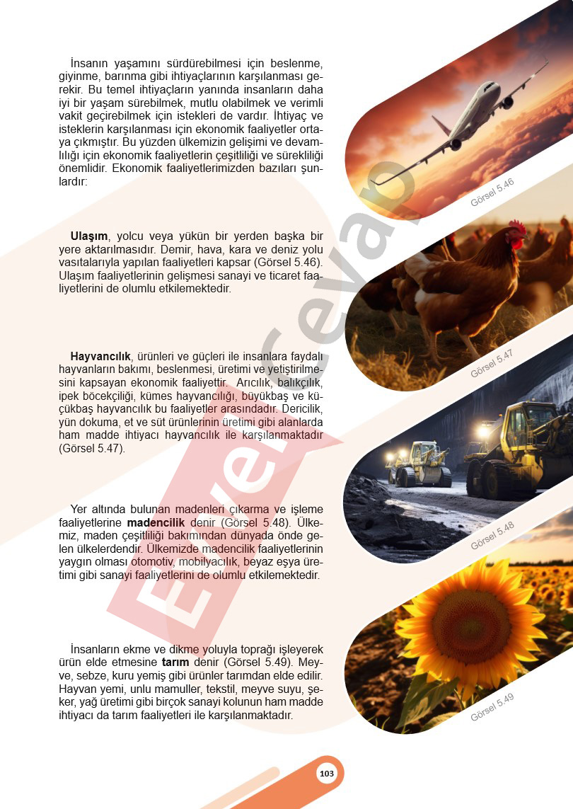 5-sinif-sosyal-bilgiler-ders-kitabi-cevaplari-meb-2-kitap-sayfa-103