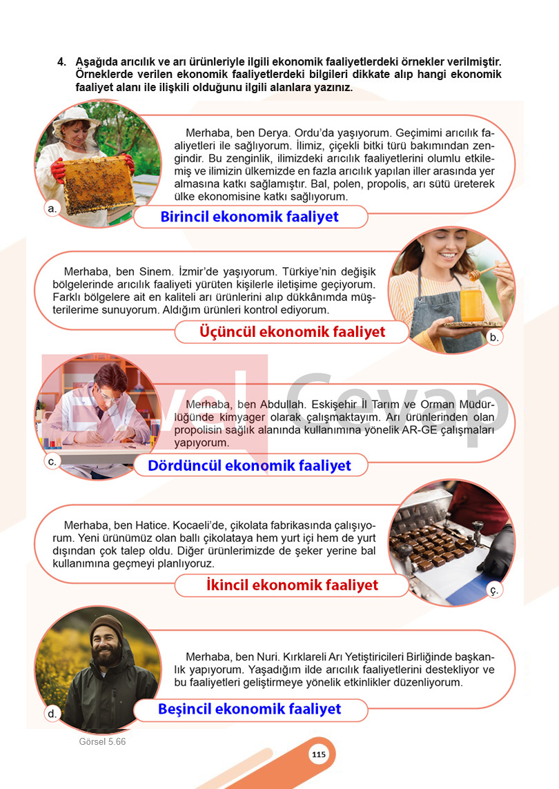 5-sinif-sosyal-bilgiler-ders-kitabi-cevaplari-meb-2-kitap-sayfa-115