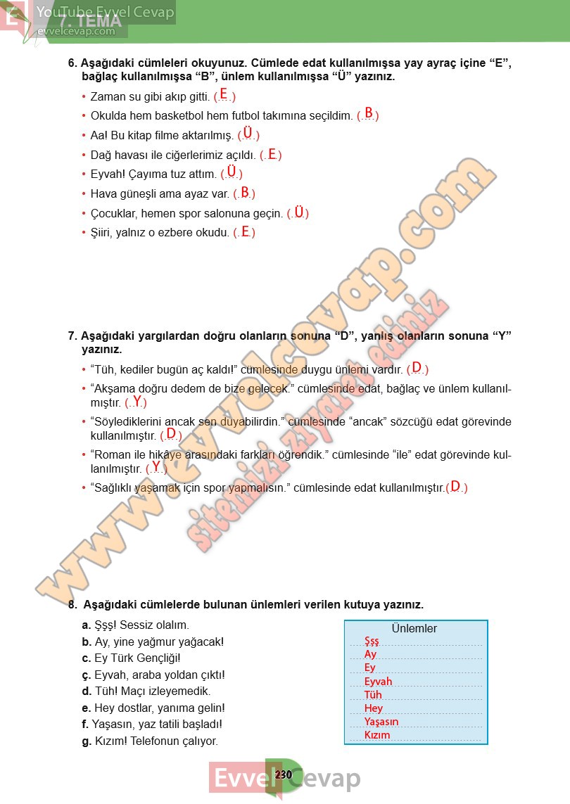6-sinif-turkce-ders-kitabi-cevaplari-meb-yayinlari-sayfa-230