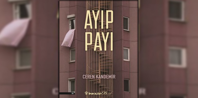 Ayıp Payı Kitap Özeti Ceren Kandemir