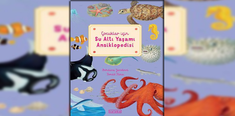 Çocuklar İçin Su Altı Yaşamı Ansiklopedisi Kitap Özeti Bohdana Jarosova