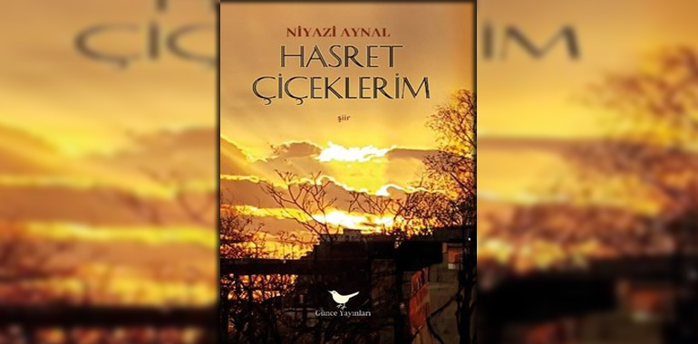 Hasret Çiçeklerim Kitap Özeti Niyazi Aynal