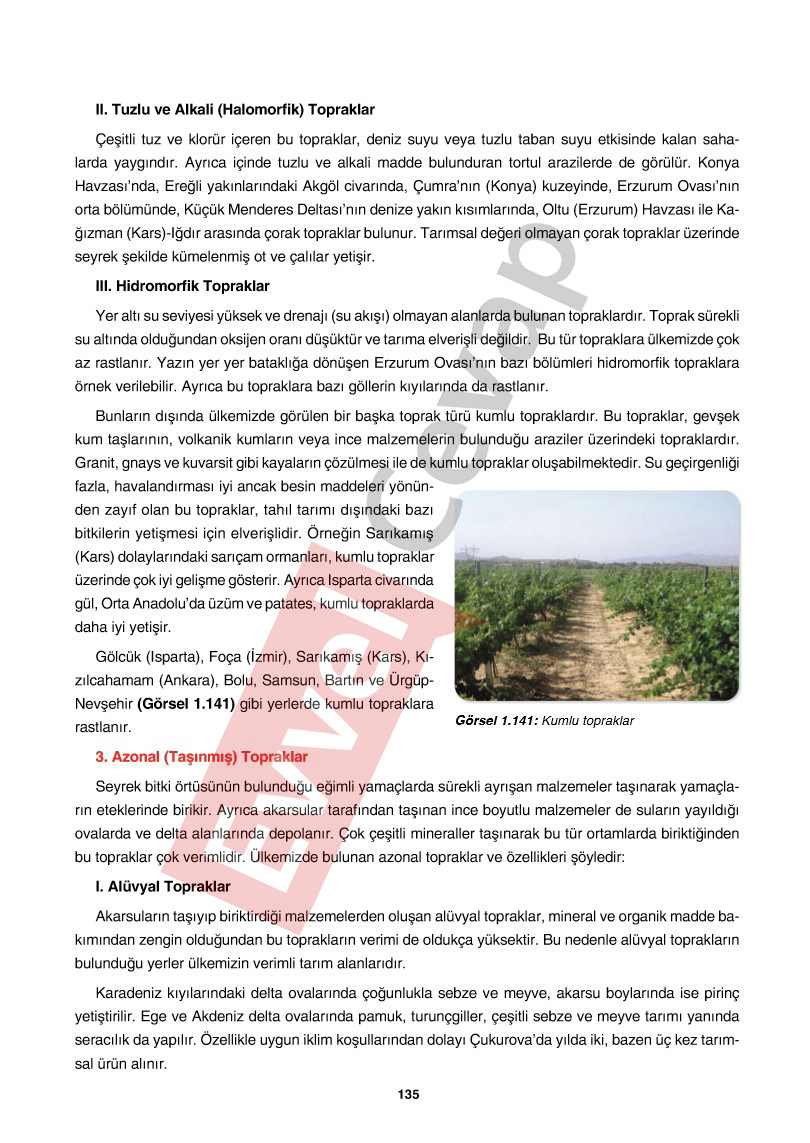 10-sinif-cografya-ders-kitabi-cevaplari-tutku-yayincilik-sayfa-135