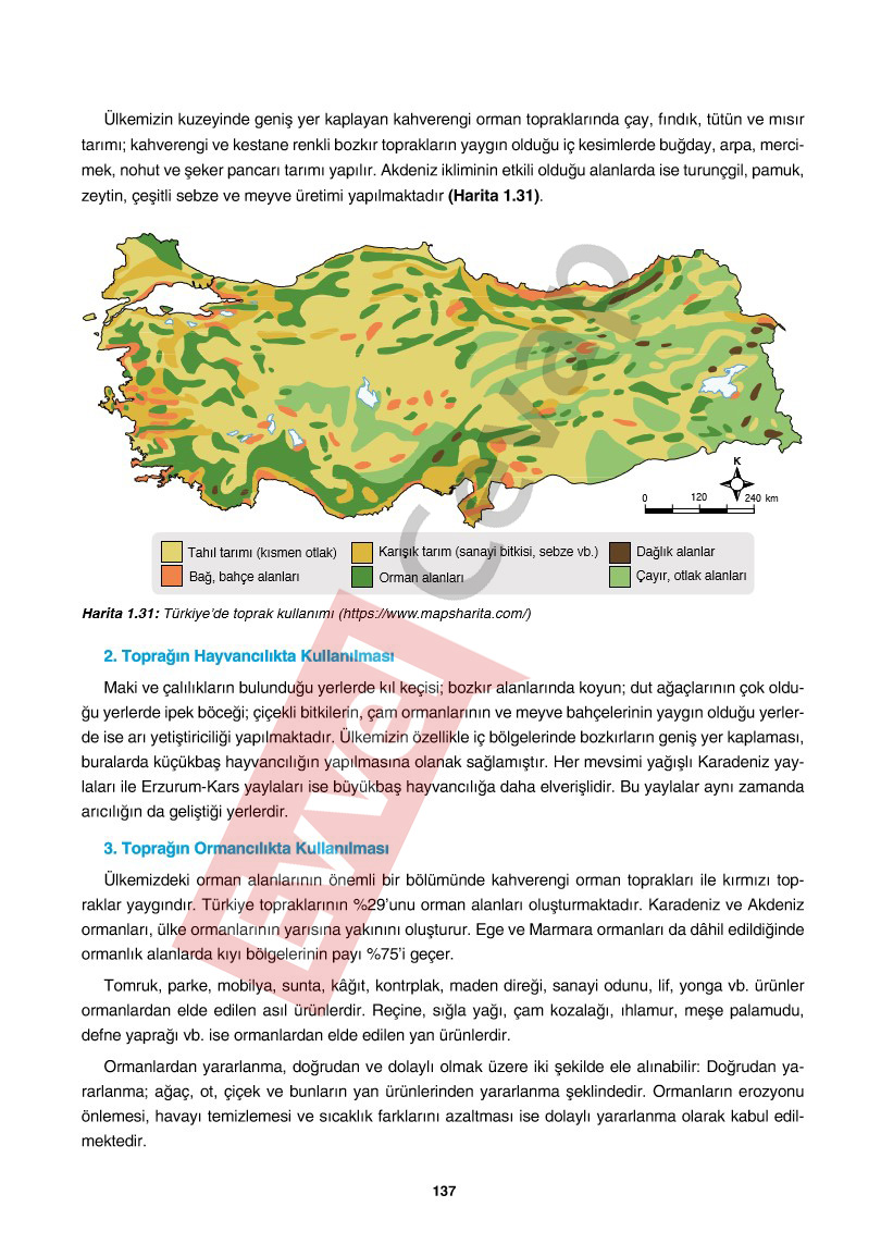 10-sinif-cografya-ders-kitabi-cevaplari-tutku-yayincilik-sayfa-137