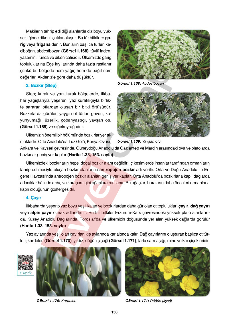 10-sinif-cografya-ders-kitabi-cevaplari-tutku-yayincilik-sayfa-158