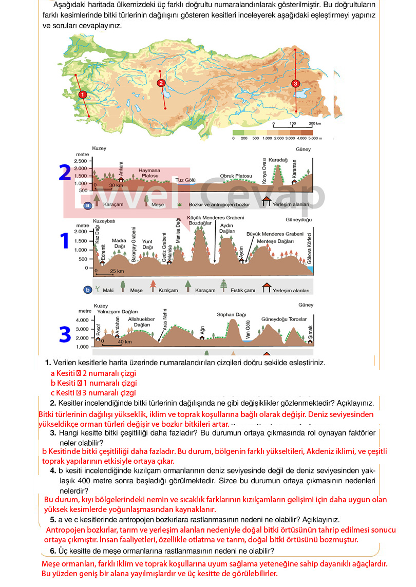 10-sinif-cografya-ders-kitabi-cevaplari-tutku-yayincilik-sayfa-159