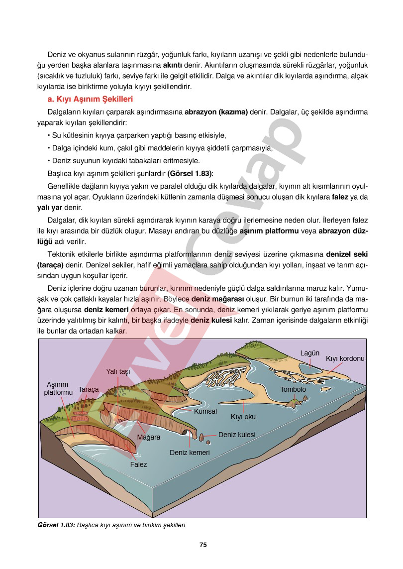 10-sinif-cografya-ders-kitabi-cevaplari-tutku-yayincilik-sayfa-75