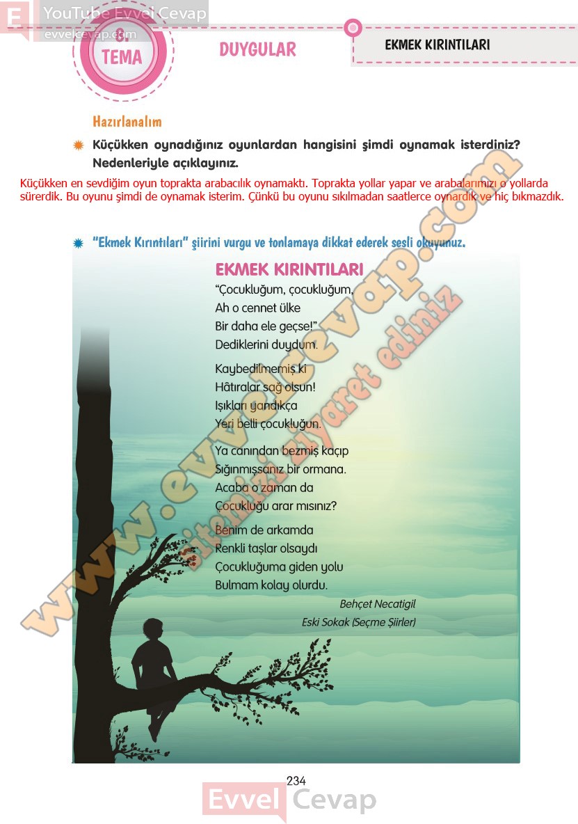 4-sinif-turkce-ders-kitabi-cevaplari-tuna-yayinlari-sayfa-234