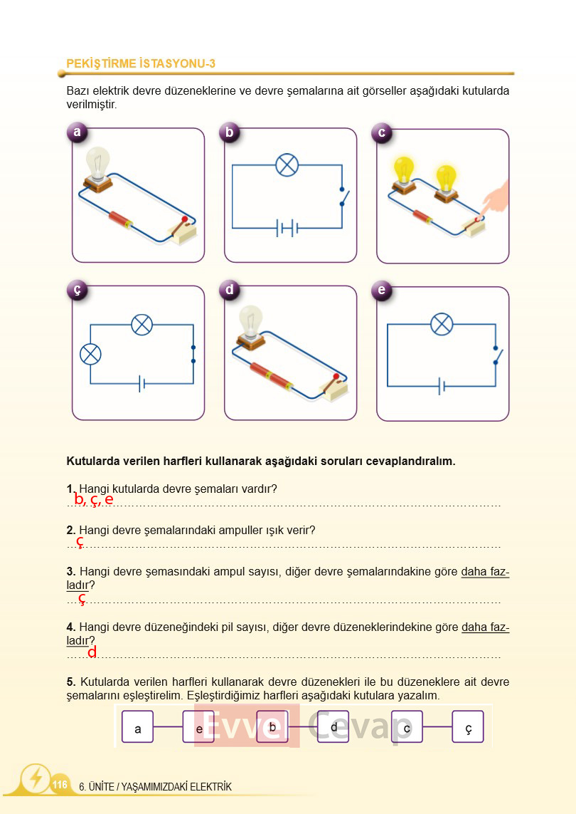 5-sinif-fen-bilimleri-ders-kitabi-cevaplari-meb-2-kitap-sayfa-116