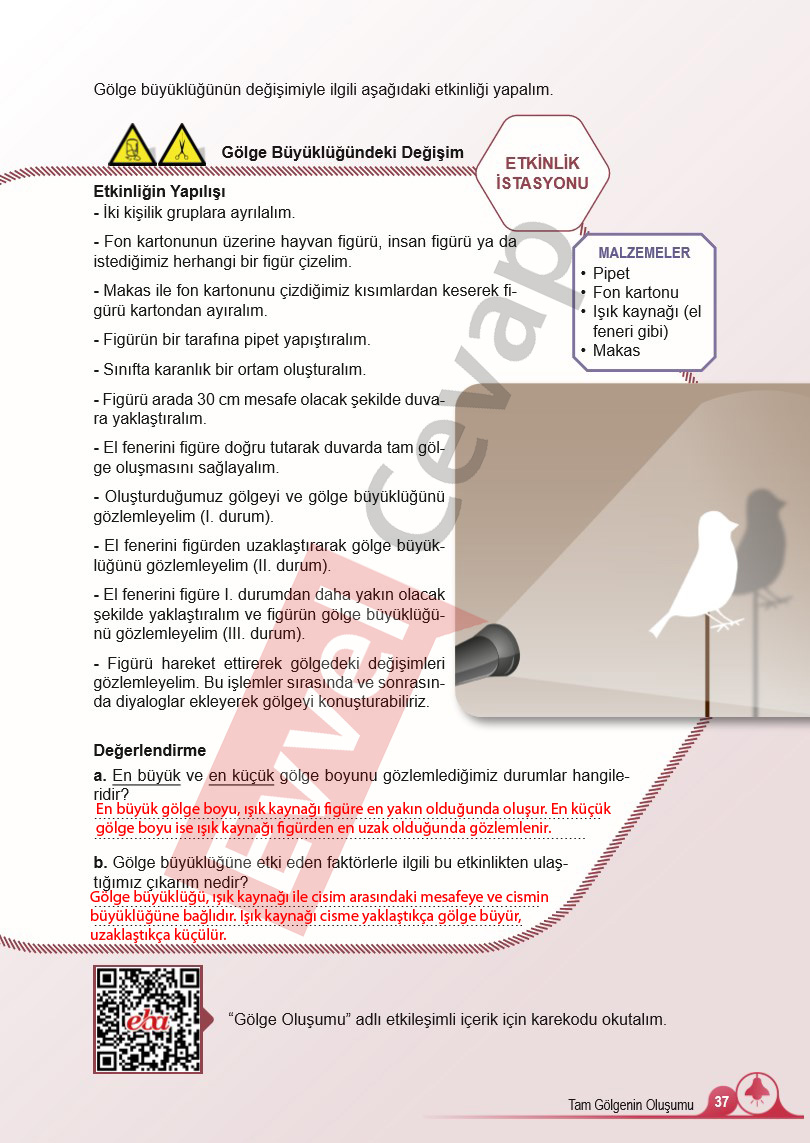 5-sinif-fen-bilimleri-ders-kitabi-cevaplari-meb-2-kitap-sayfa-37