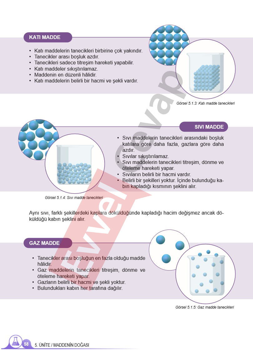 5-sinif-fen-bilimleri-ders-kitabi-cevaplari-meb-2-kitap-sayfa-58